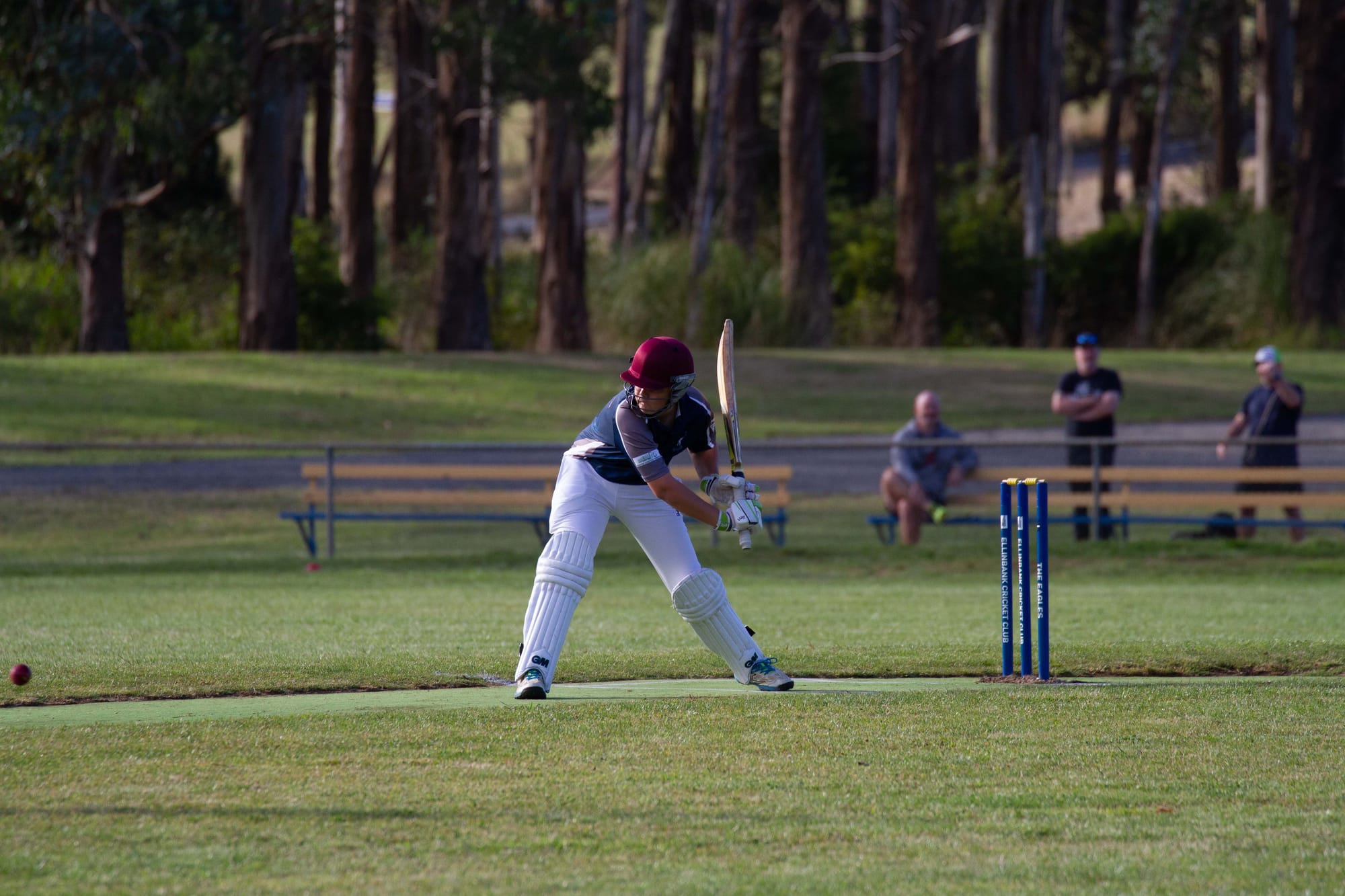 Cricket (U16's) Ellinbank Vs. Neerim District - 12.03.2022