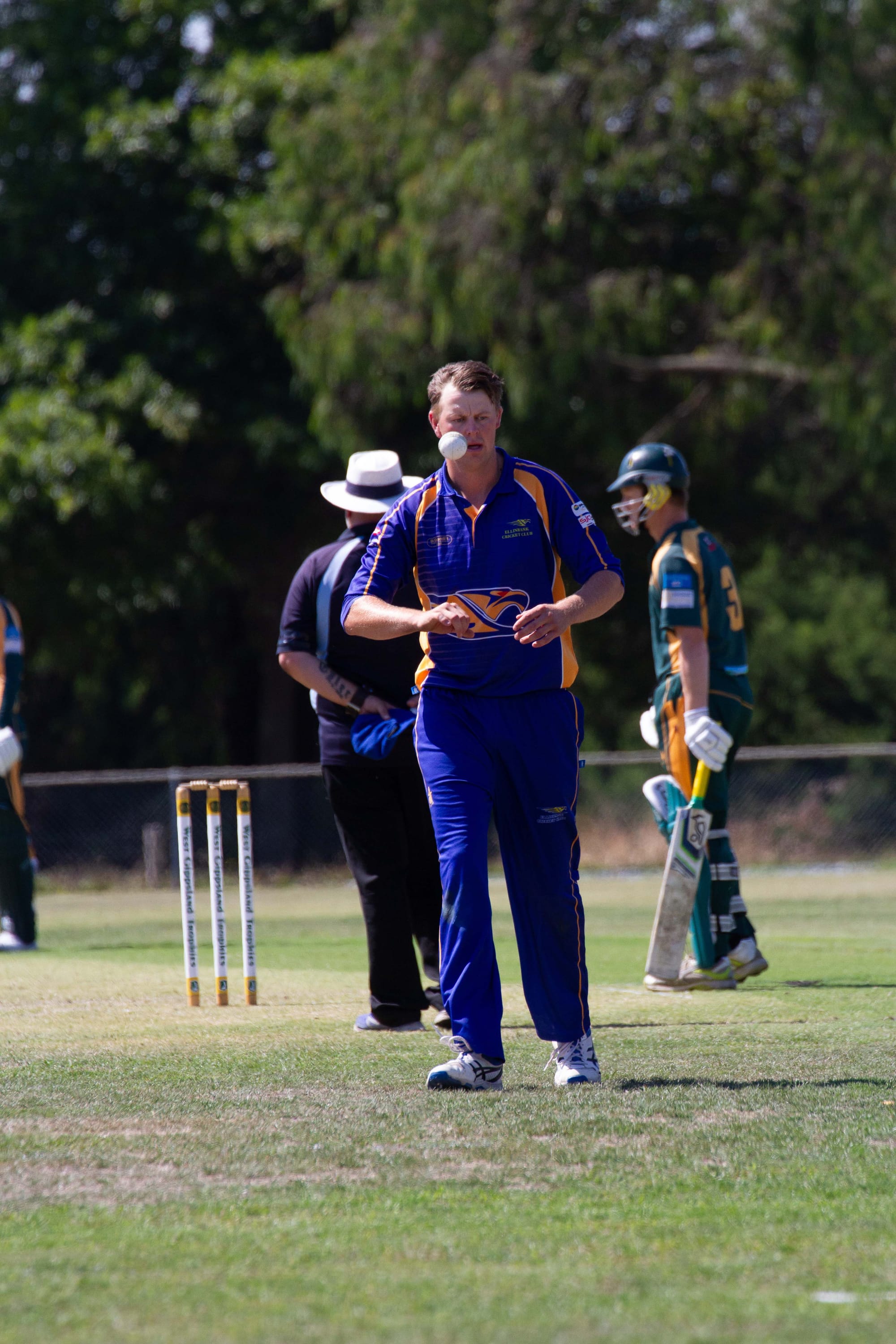 Cricket Div 1 Hallora Vs. Ellinbank - 12.03.2022