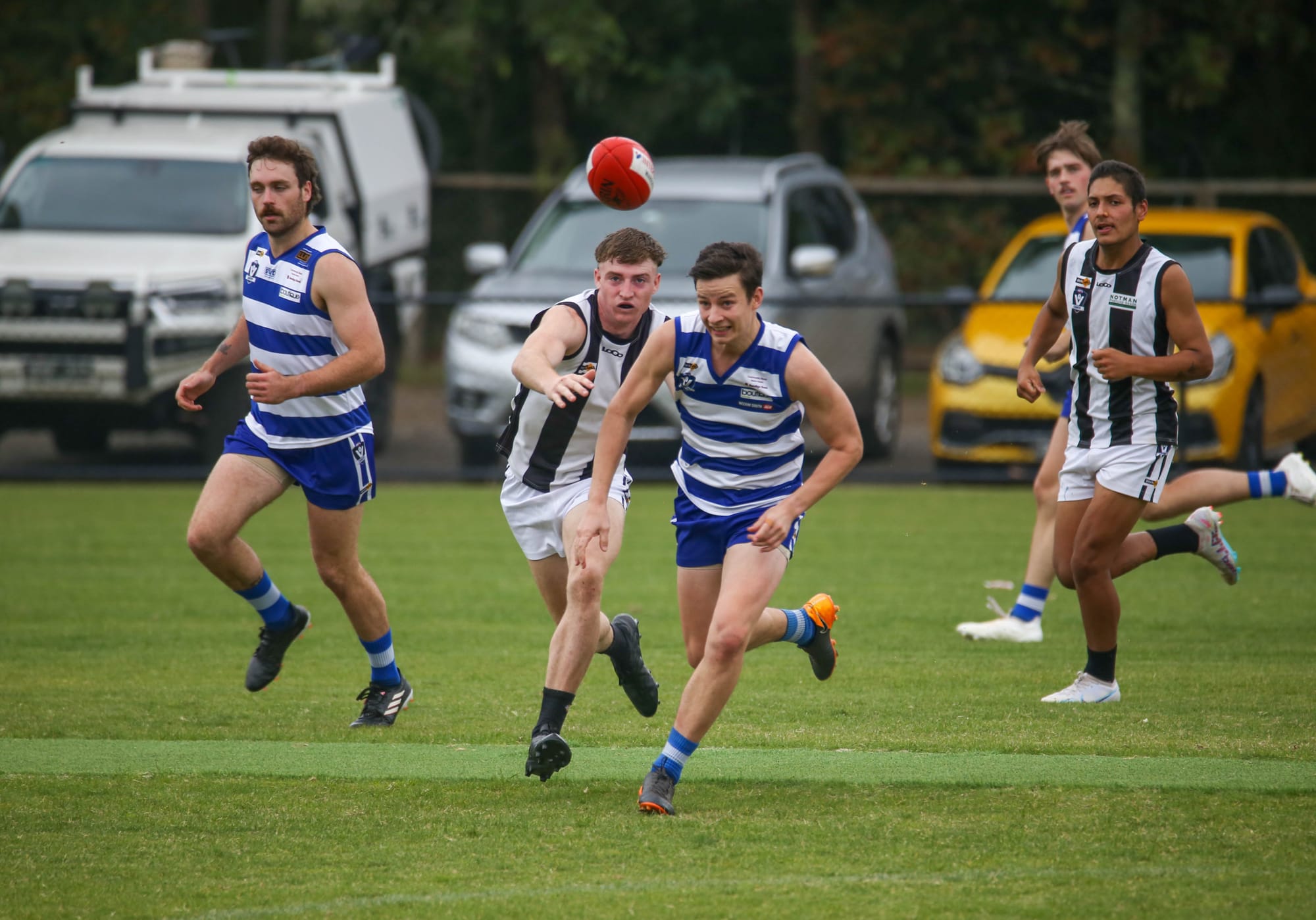 Cats and Magpies meet in top five battle