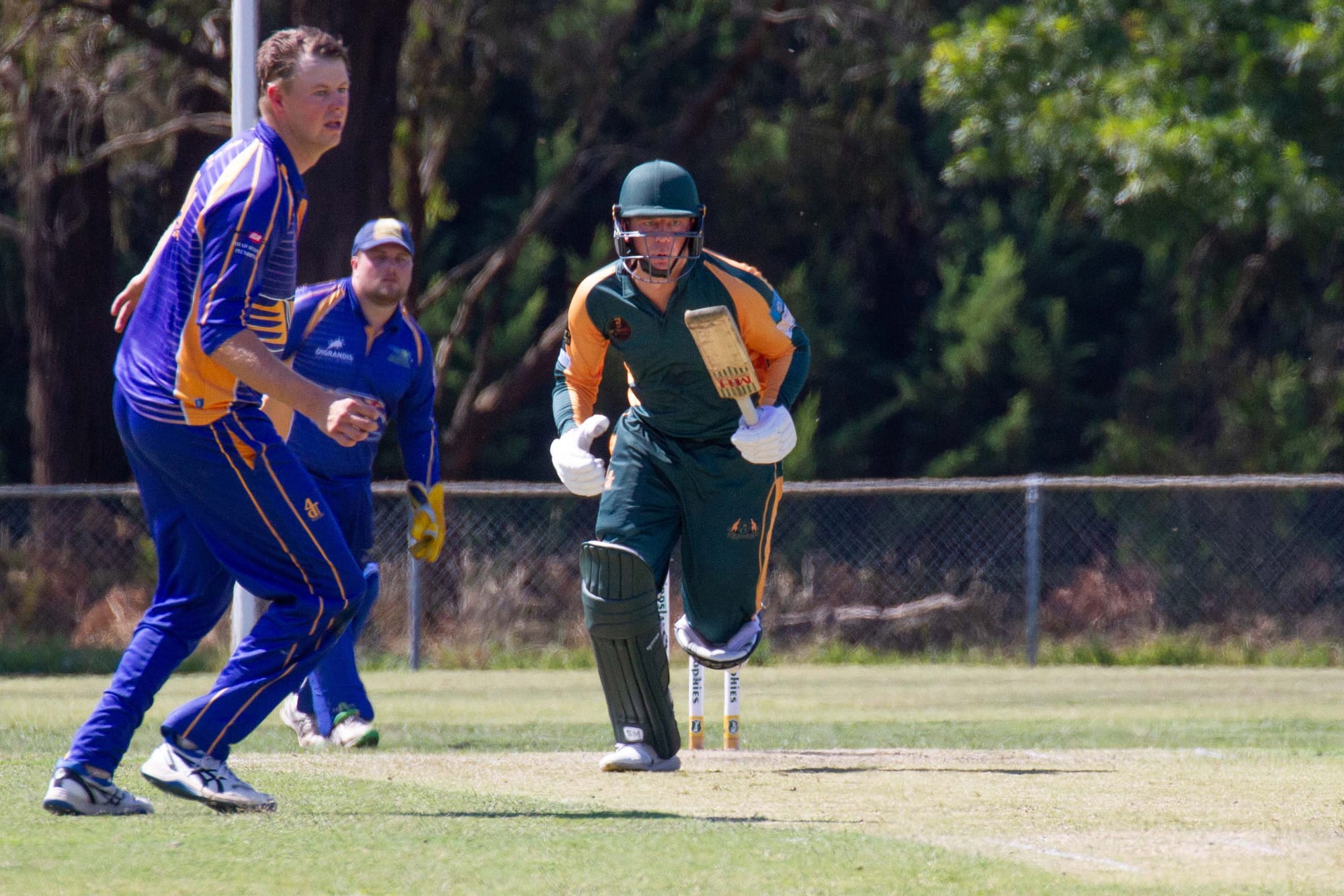 Cricket Div 1 Hallora Vs. Ellinbank - 12.03.2022