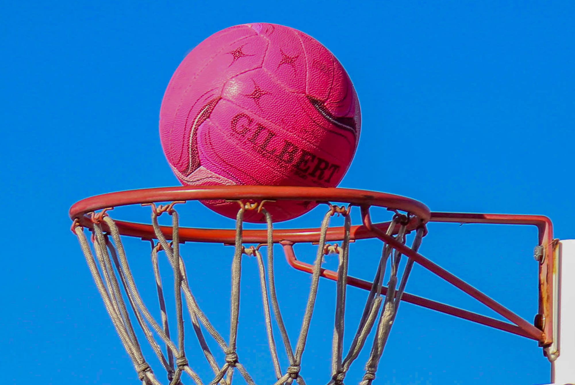 Two big wins for Gulls