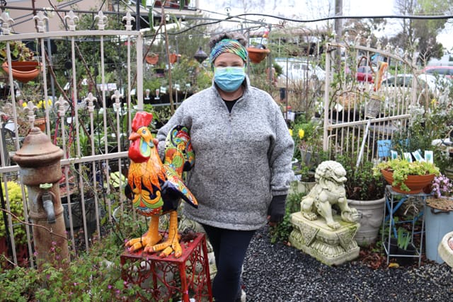 Carol's Nursery - 2021 