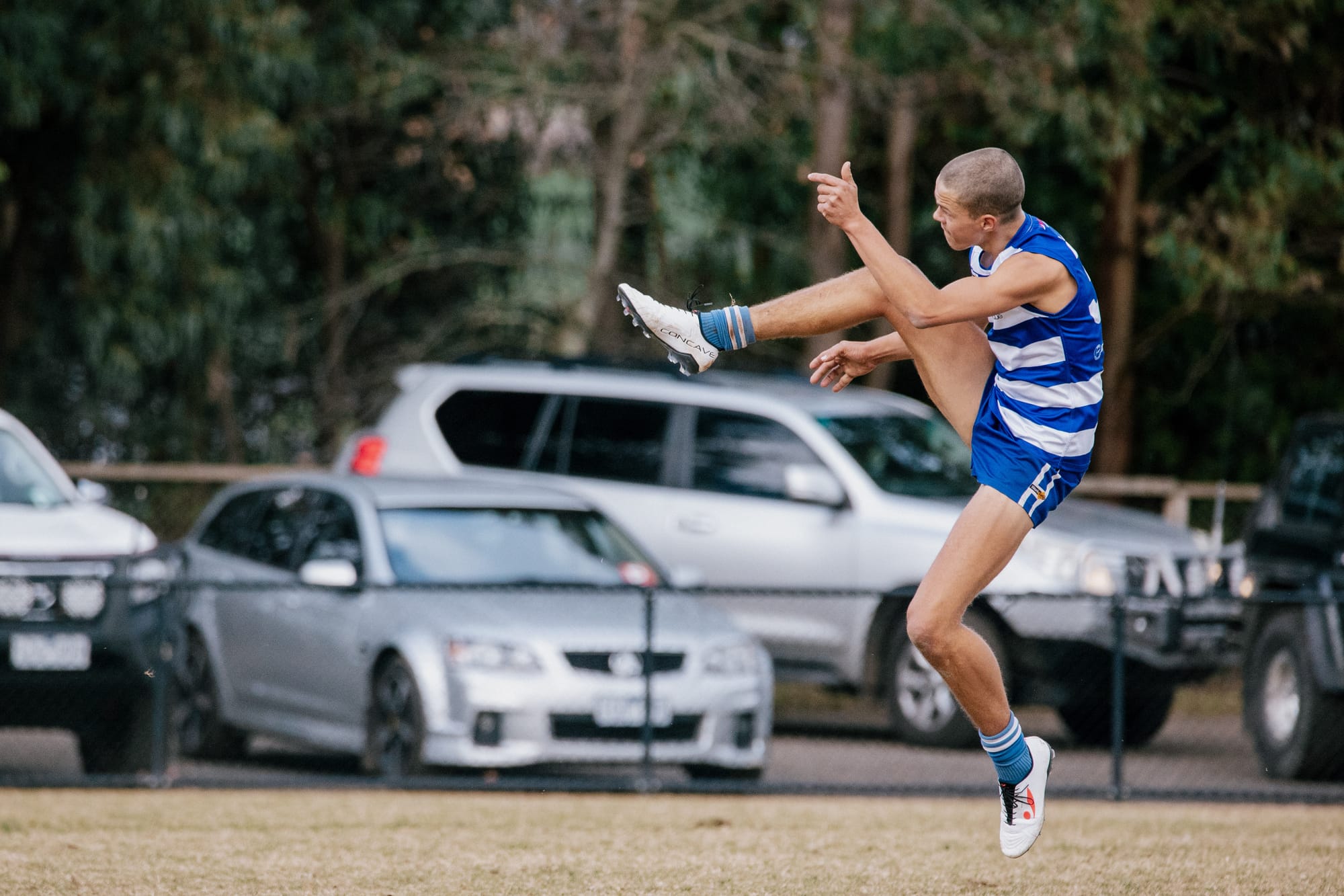 Cats aim to tame Tigers