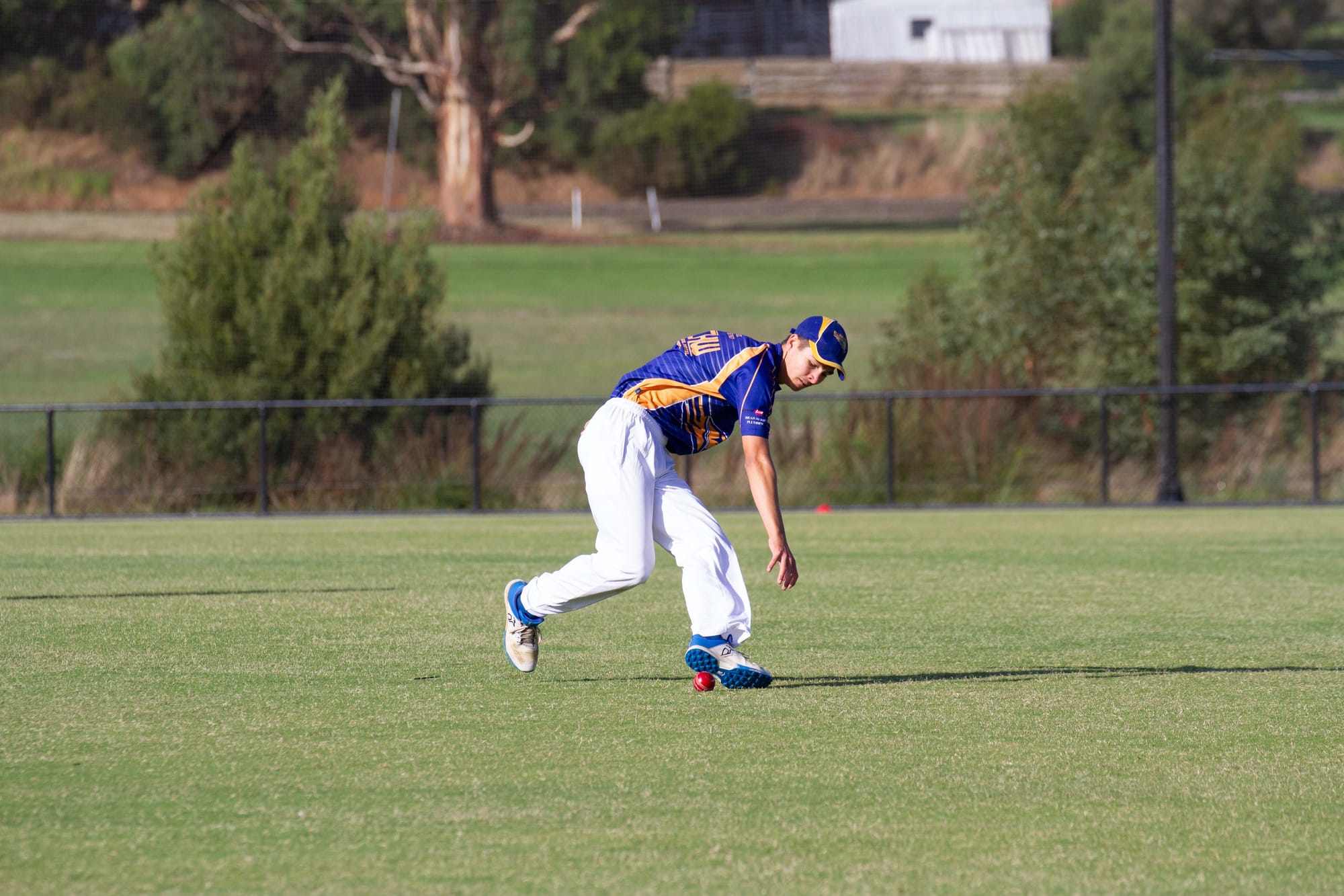 Cricket (U16's) Ellinbank Vs. Western Park - 19.03.2022