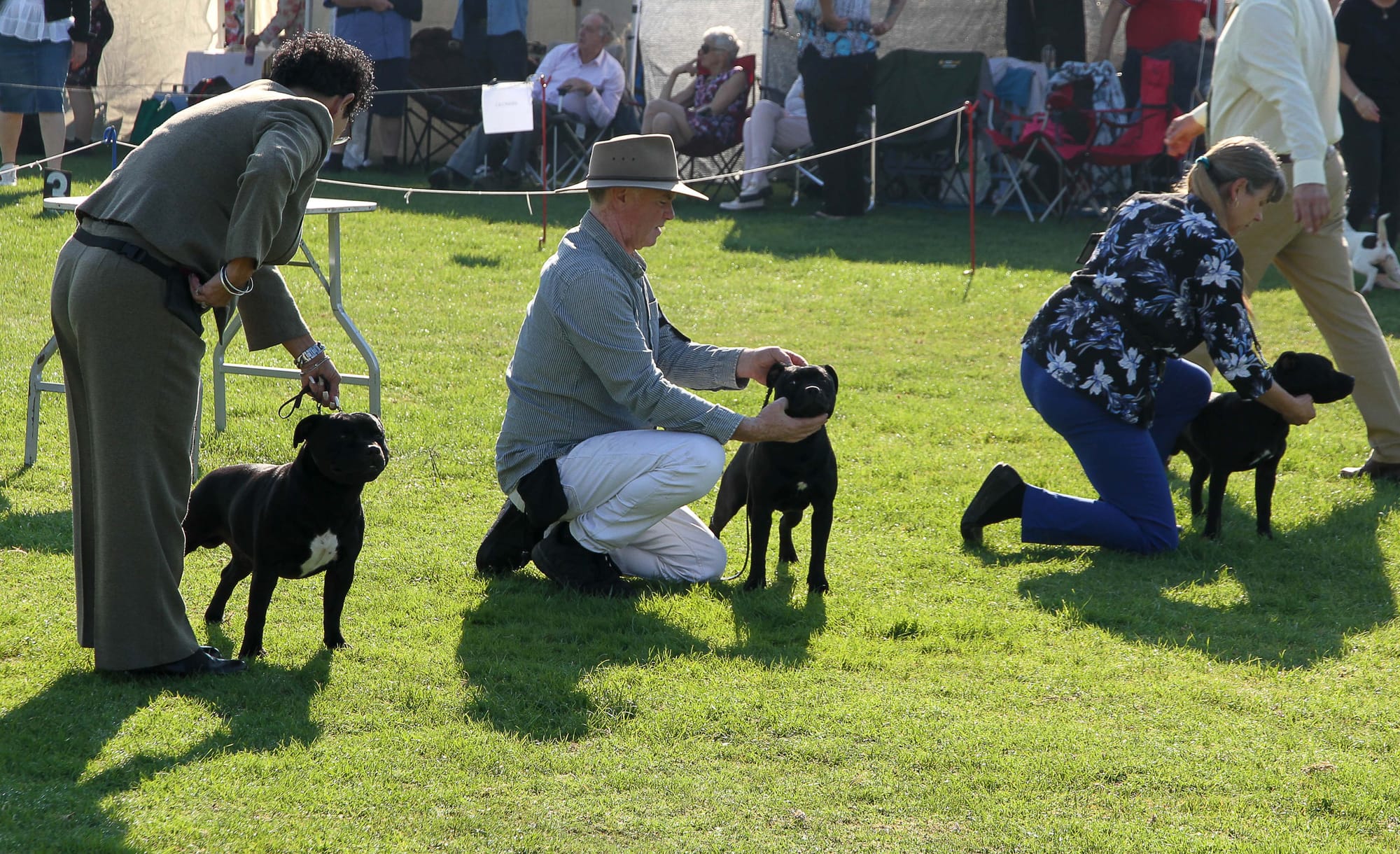 Bunyip Show - 27.03.22