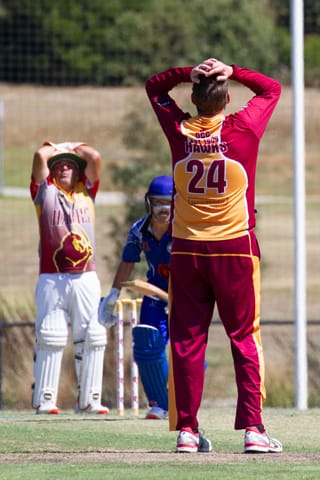 Cricket Div 2 Western Park Vs. Drouin - 19.02.2022