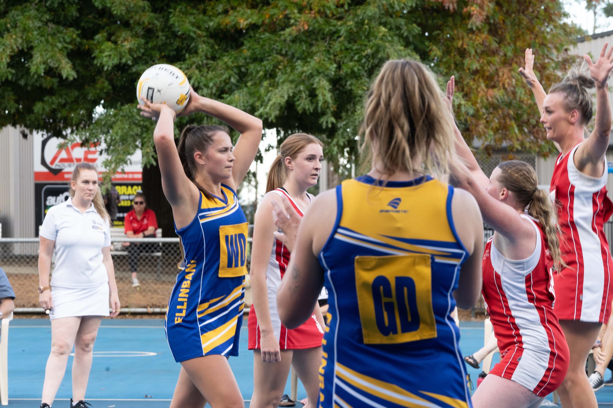 Netball EDFL