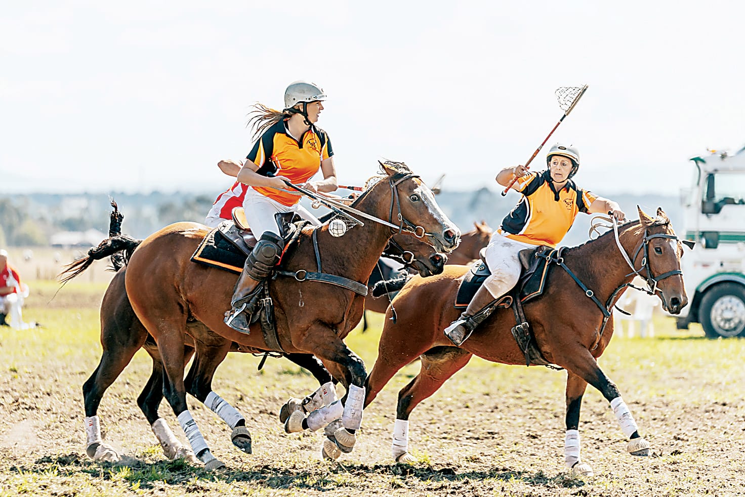 Polocrosse interstate feature