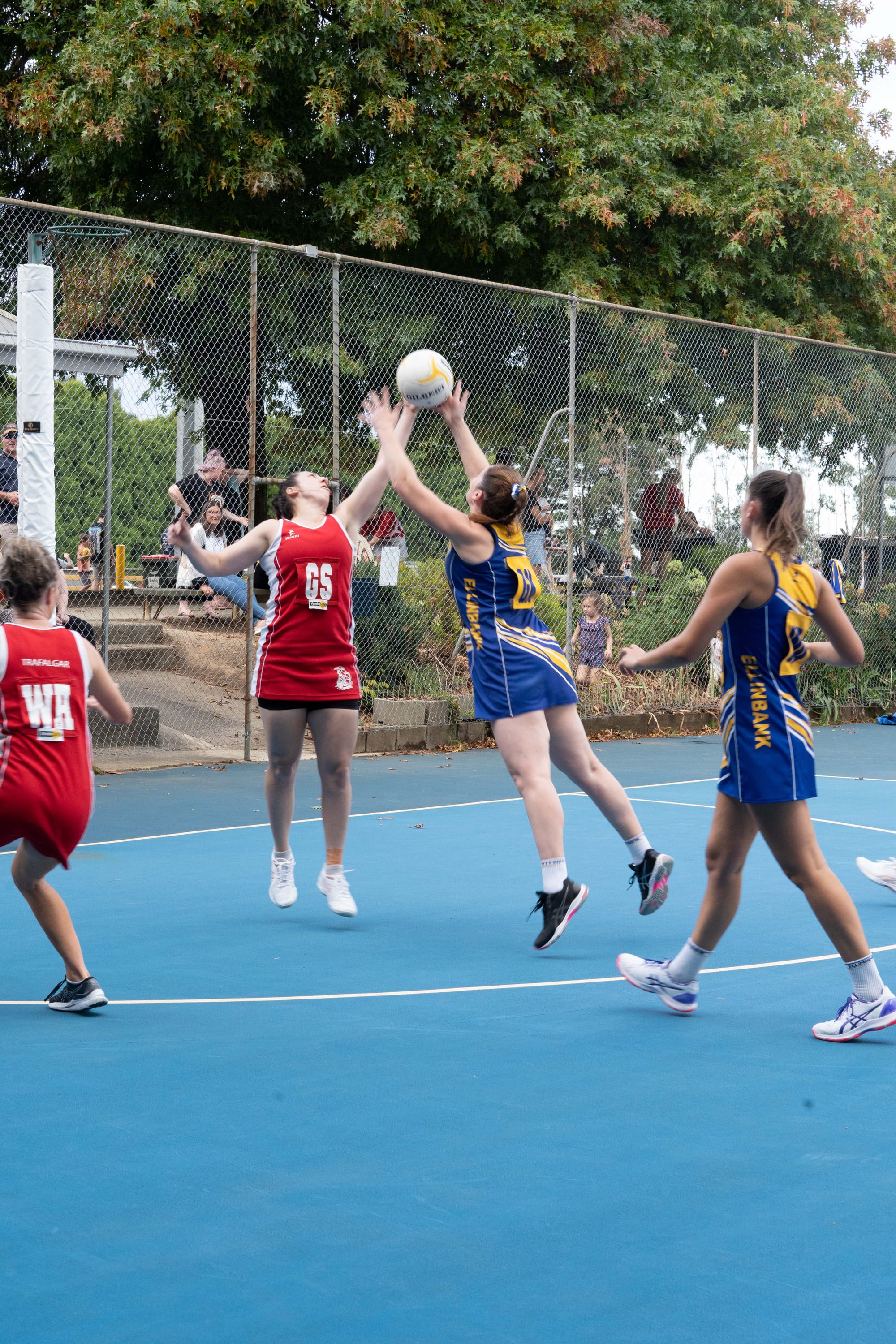 Netball EDFL