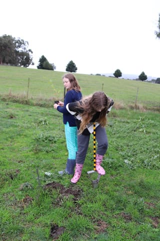 Tree Planting- 06.05.2021 