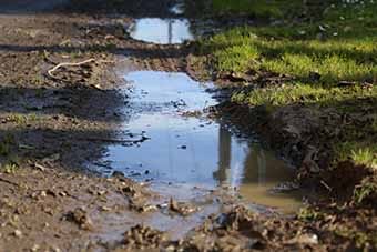 Wettest year since 2012 for Warragul region