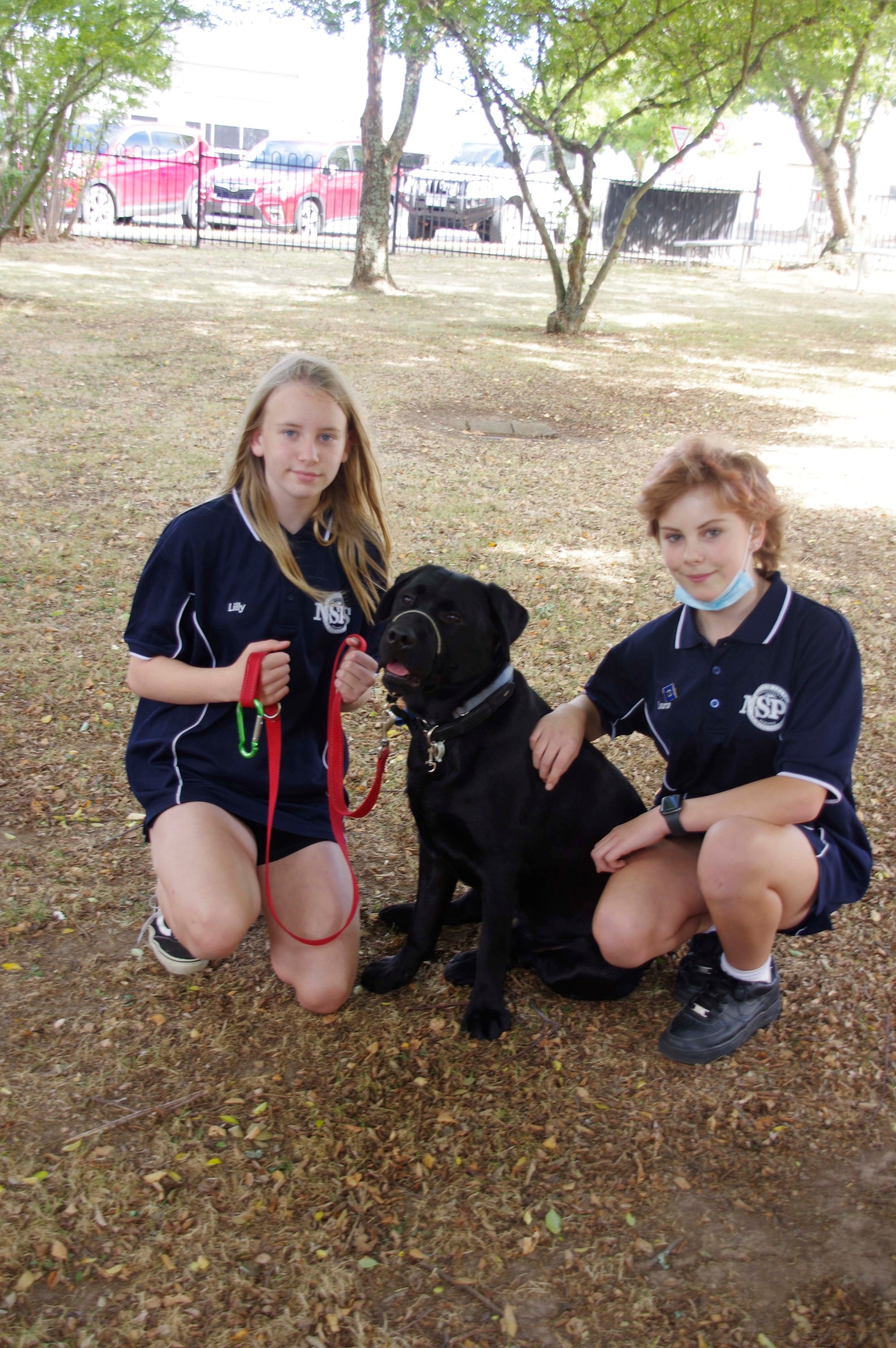 Therapy dog - 15.03.2022