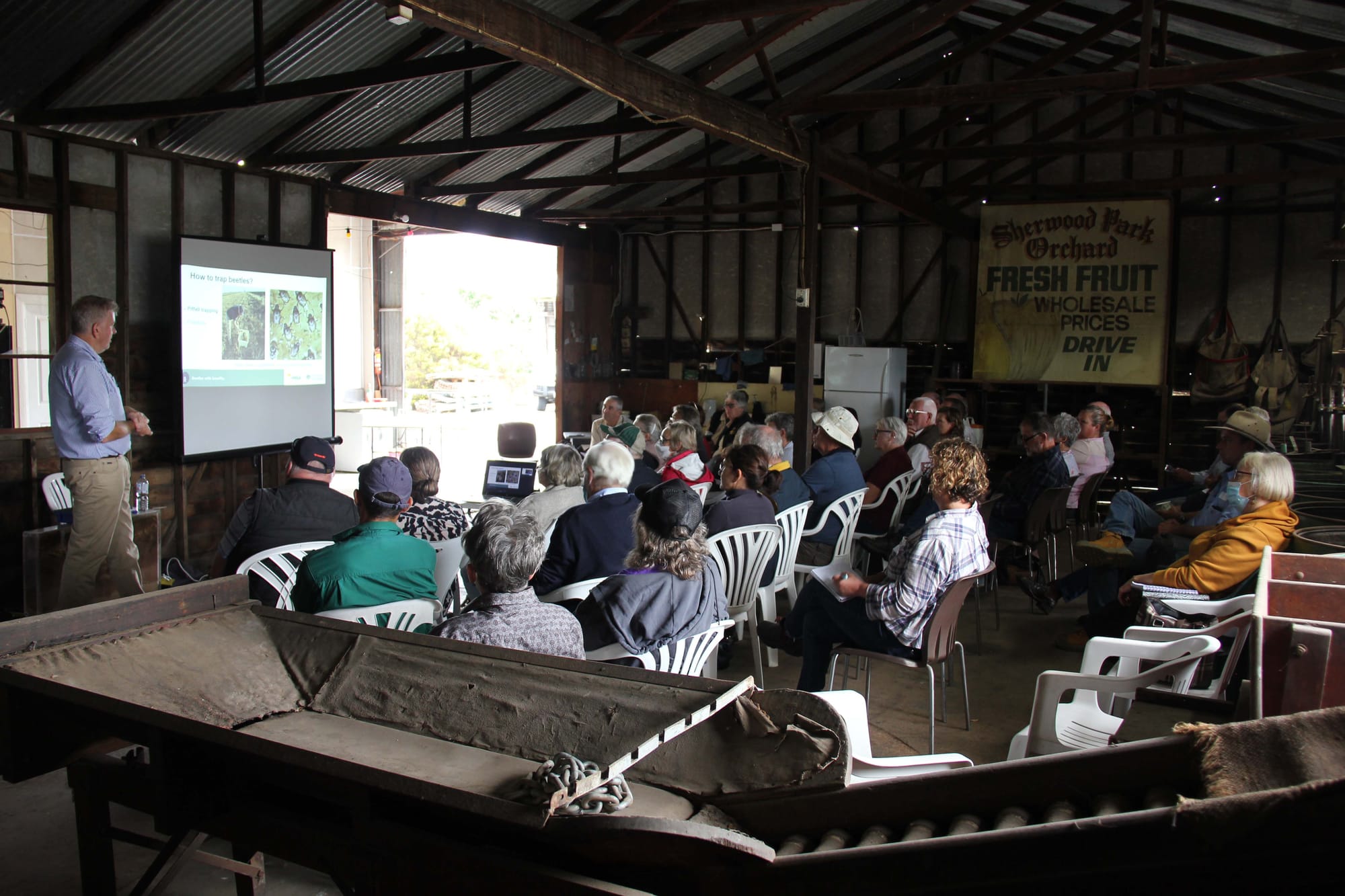 Dung Beetles - 15.03.2022