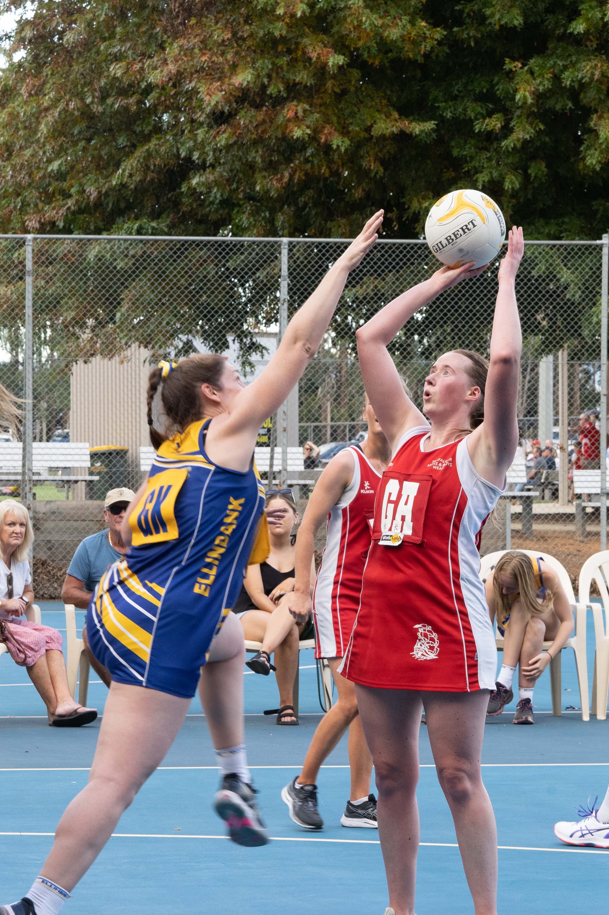 Netball EDFL
