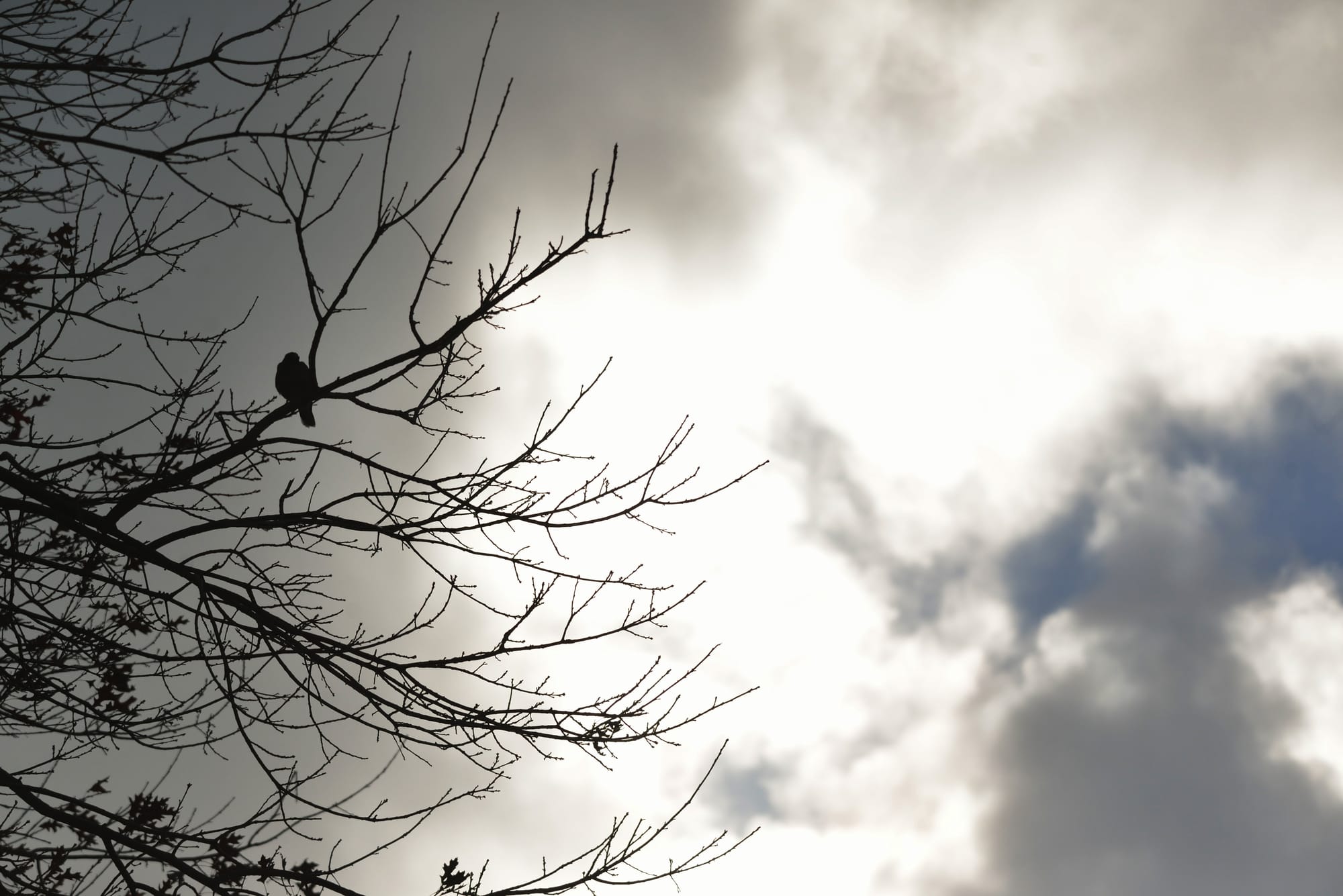 Patchy rain for district last month.