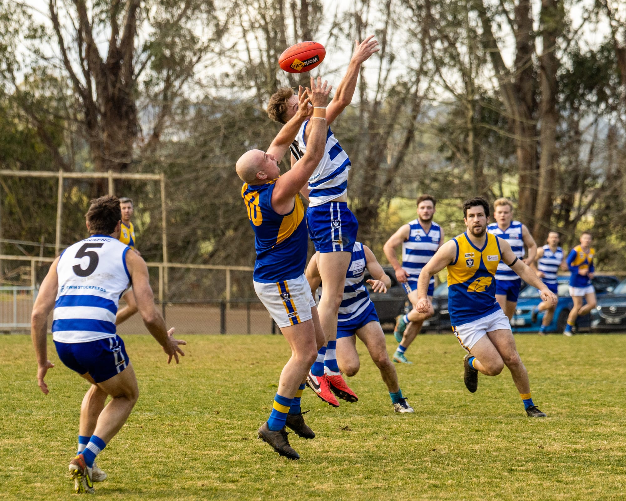 Urie’s day to remember gives Cats the win