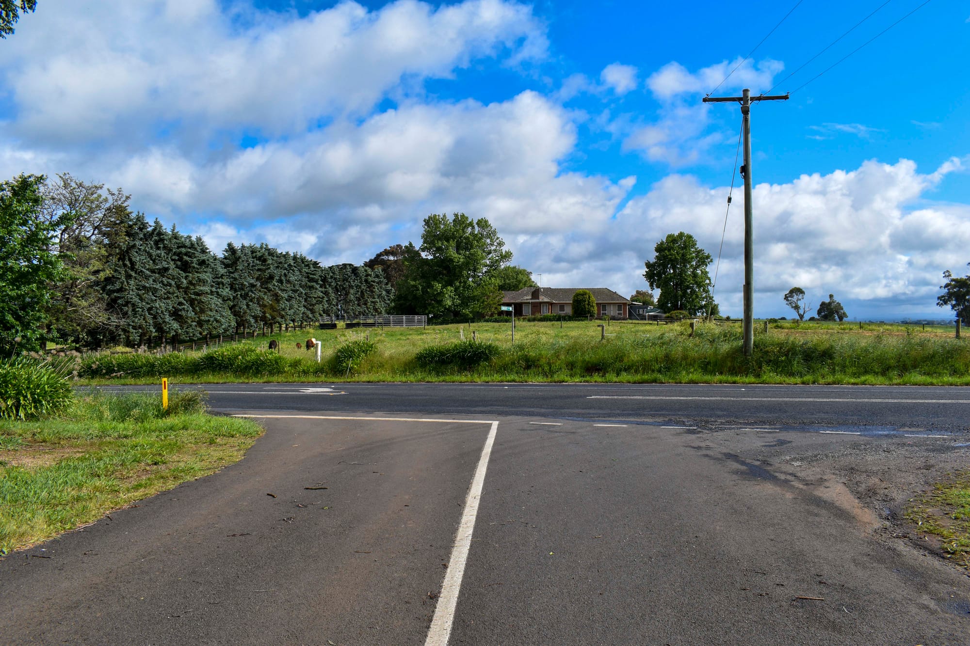 Ellinbank Primary - 22.11.2022