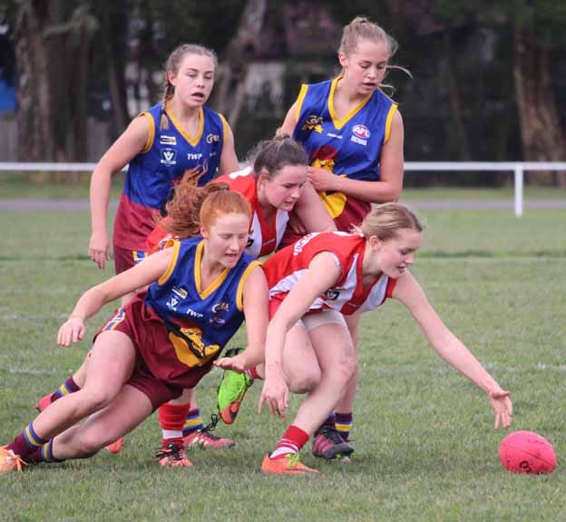 Colts into grand final