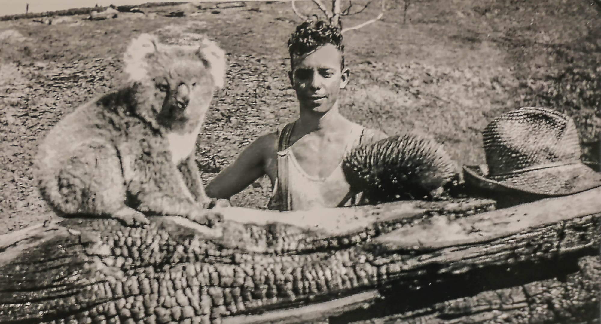 Snapshot of the past: local wildlife