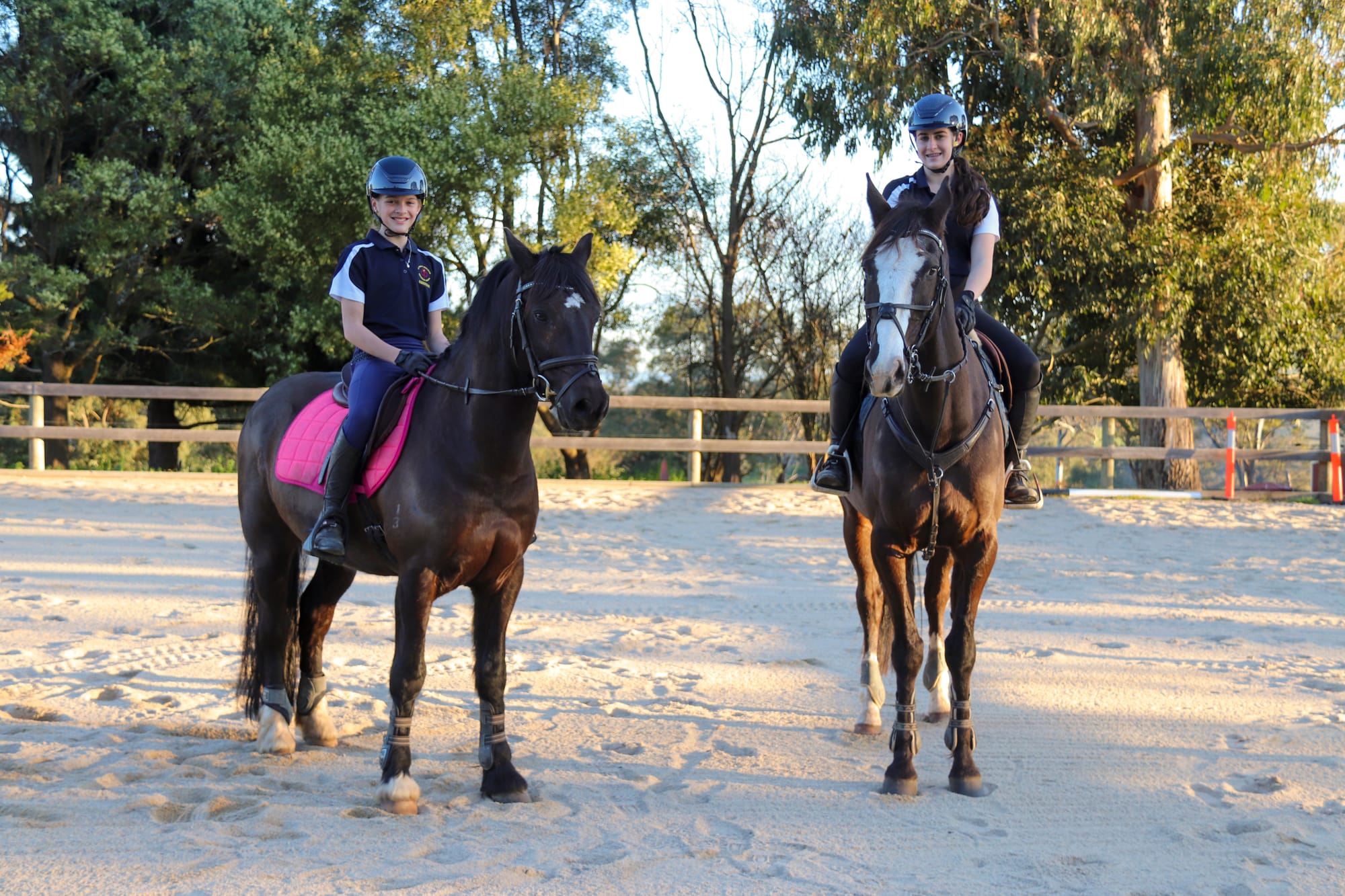 Sisters horsing around on the national stage