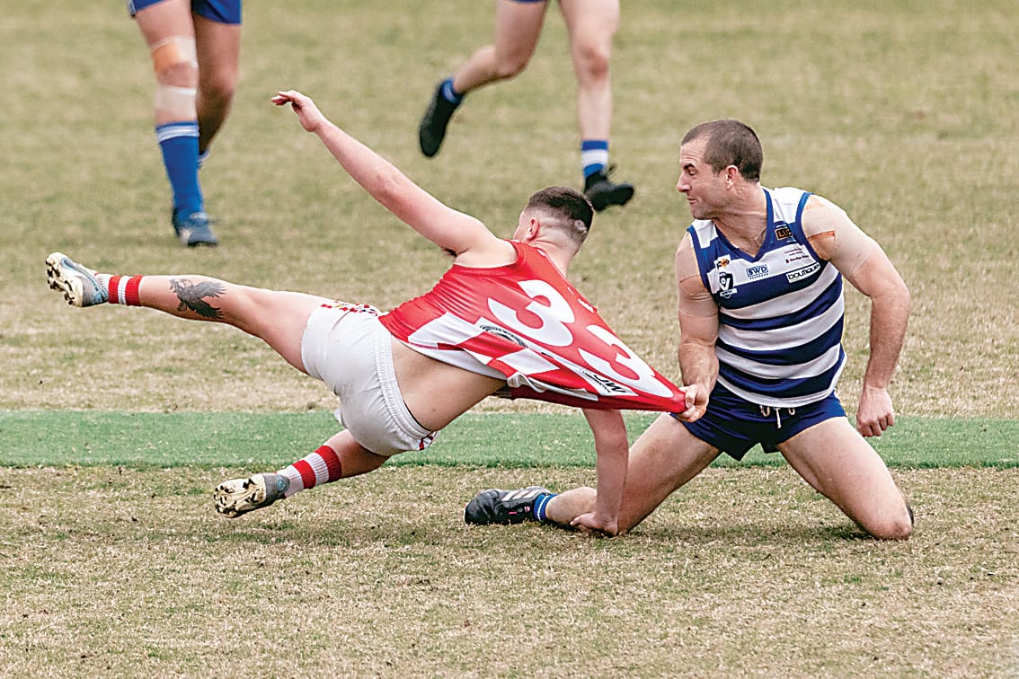 Brave Bloods claim Cats scalp