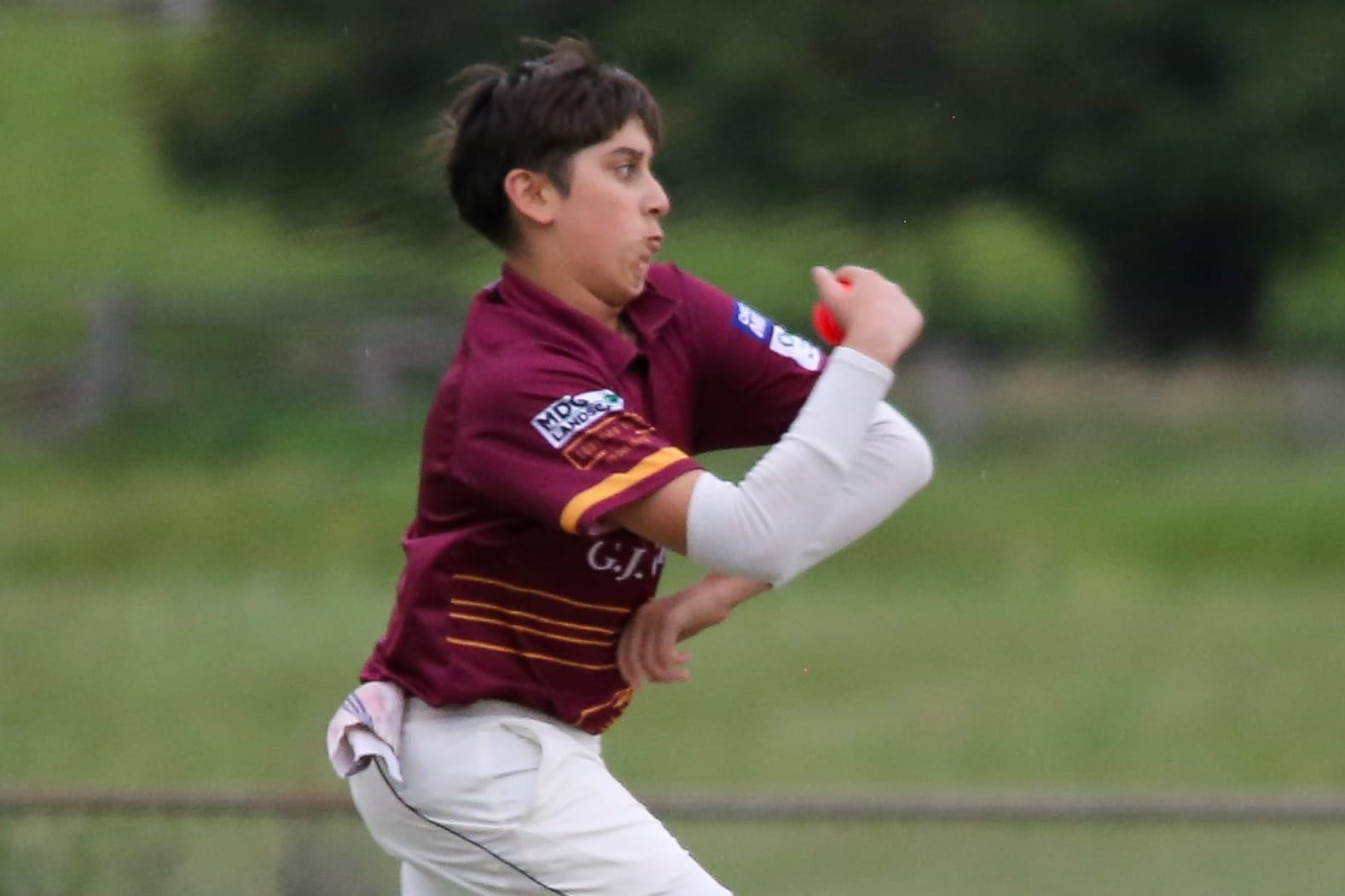 WDCA Cricket Under 17s Hallora vs Drouin - November 7, 2025