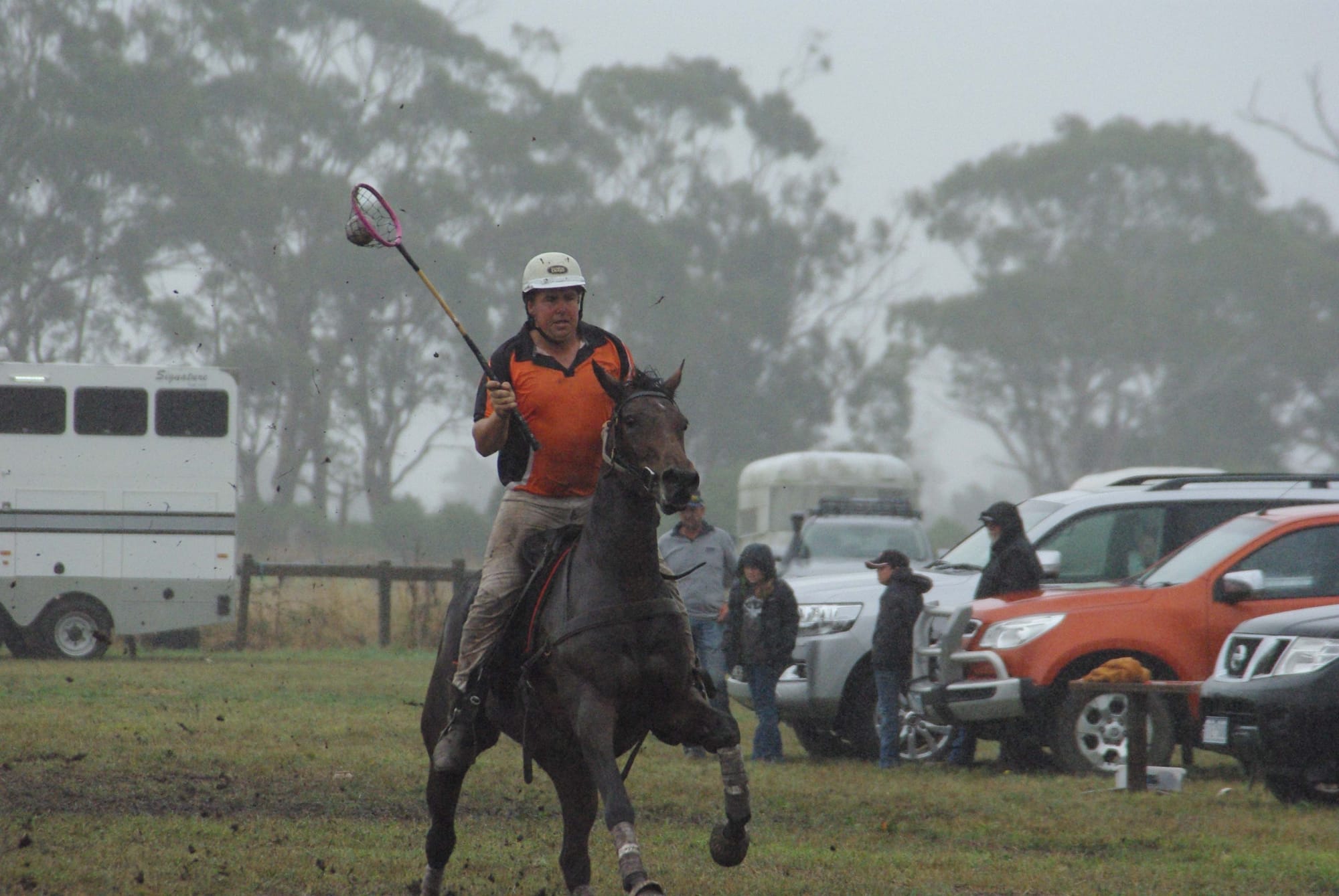 Traf Polox - 15.03.2022