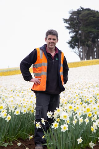 Spring Daffodils- 26.08.2021 