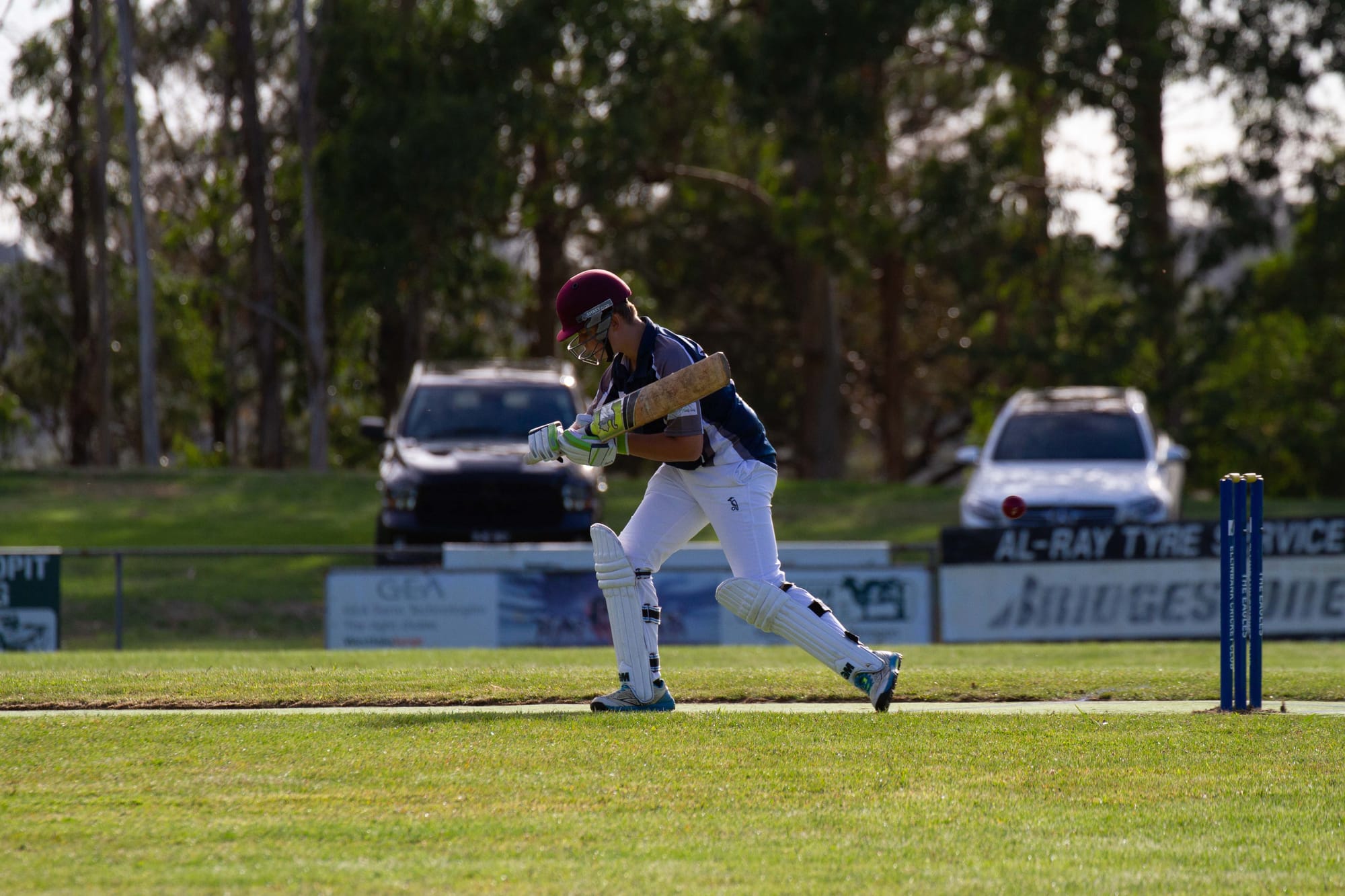 Cricket (U16's) Ellinbank Vs. Neerim District - 12.03.2022