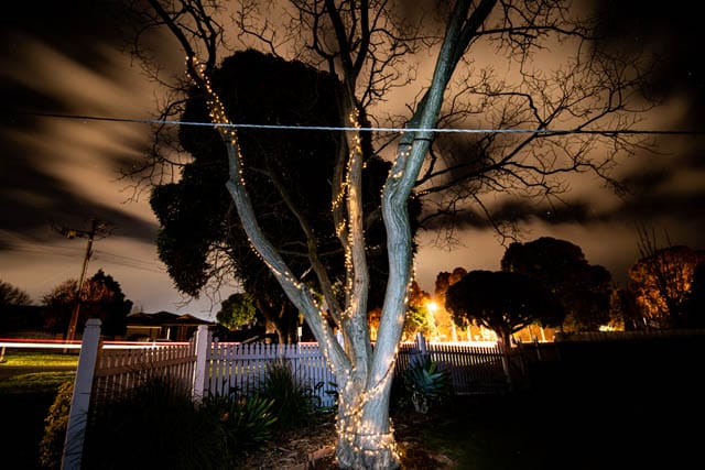 Light up Trees - 25082020