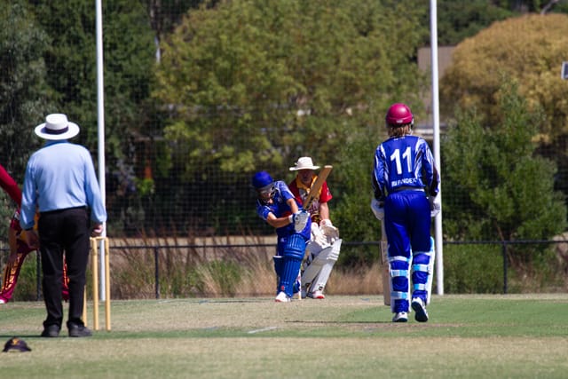 Cricket Div 2 Western Park Vs. Drouin - 19.02.2022