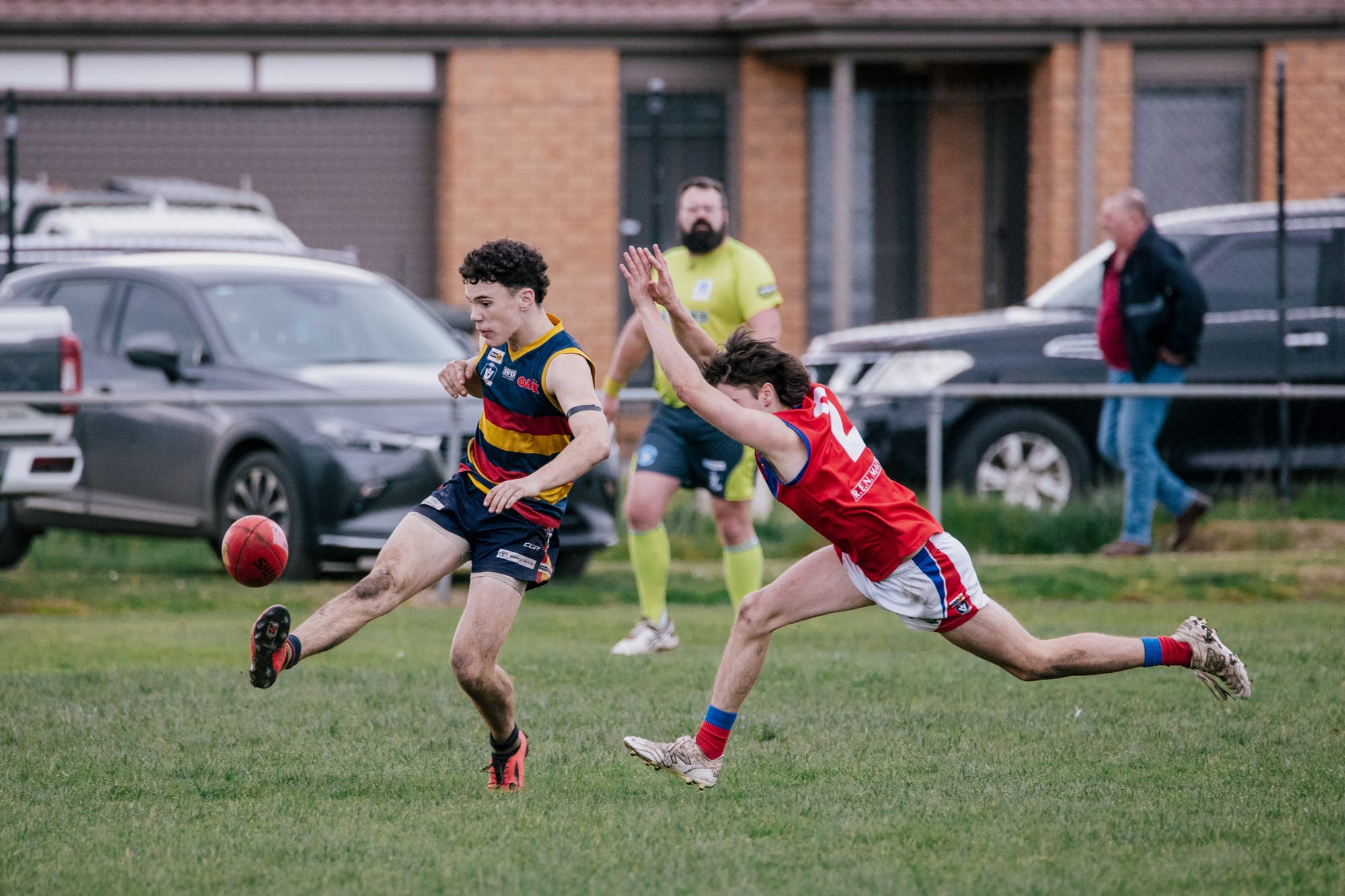 Depleted Lyrebirds overcome Crows