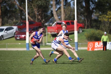 Trafalgar eliminated