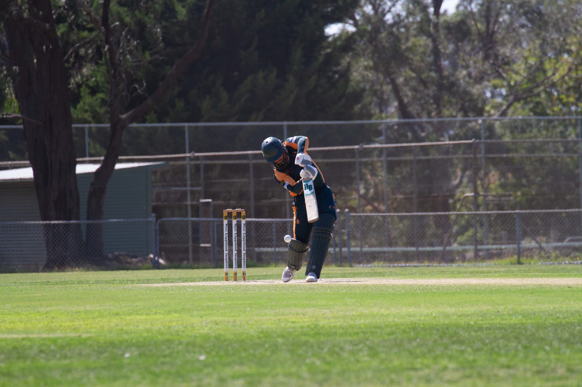 Cricket Div 1 Hallora Vs. Ellinbank - 19.03.2022