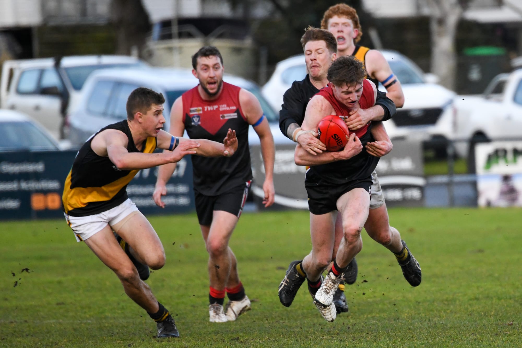 Gulls get a taste of Tigers' roar power