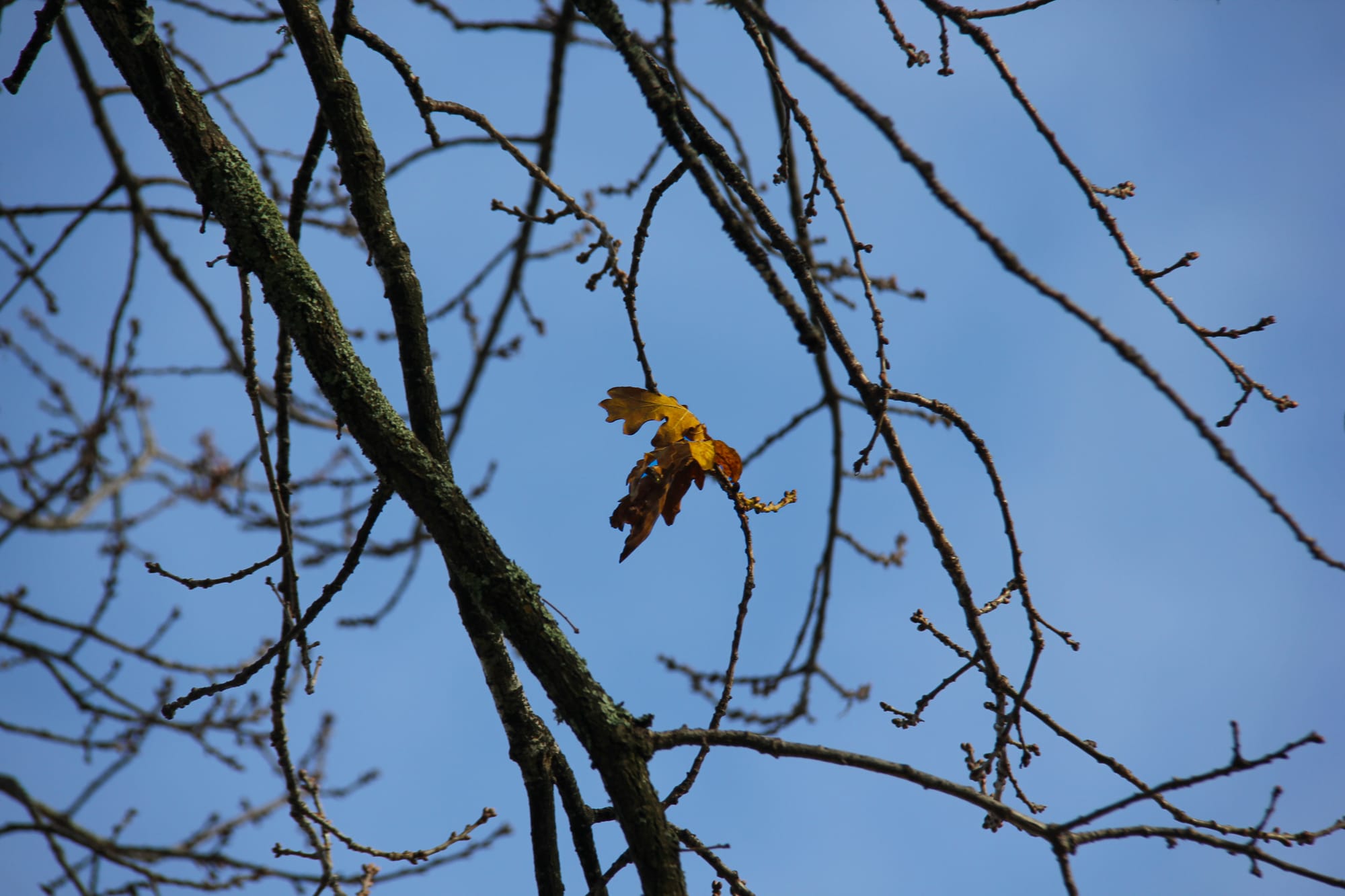 Little rain but cool throughout May
