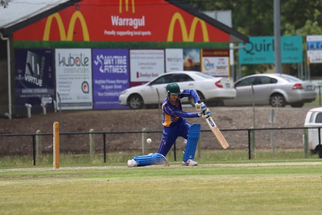 Cricket Div 1 Western Park v Ellinbank - 19112021