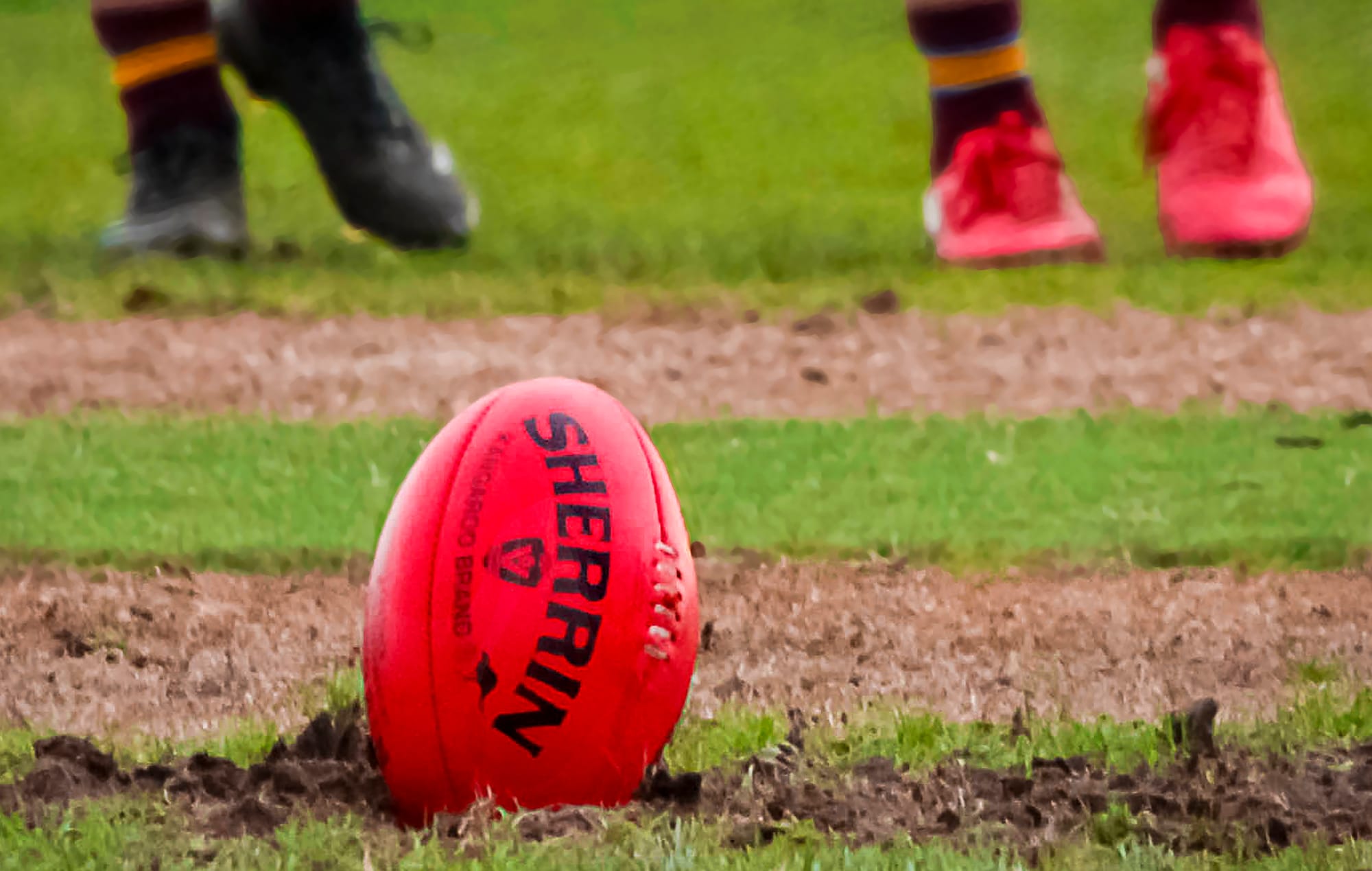 Magpies punish Panthers