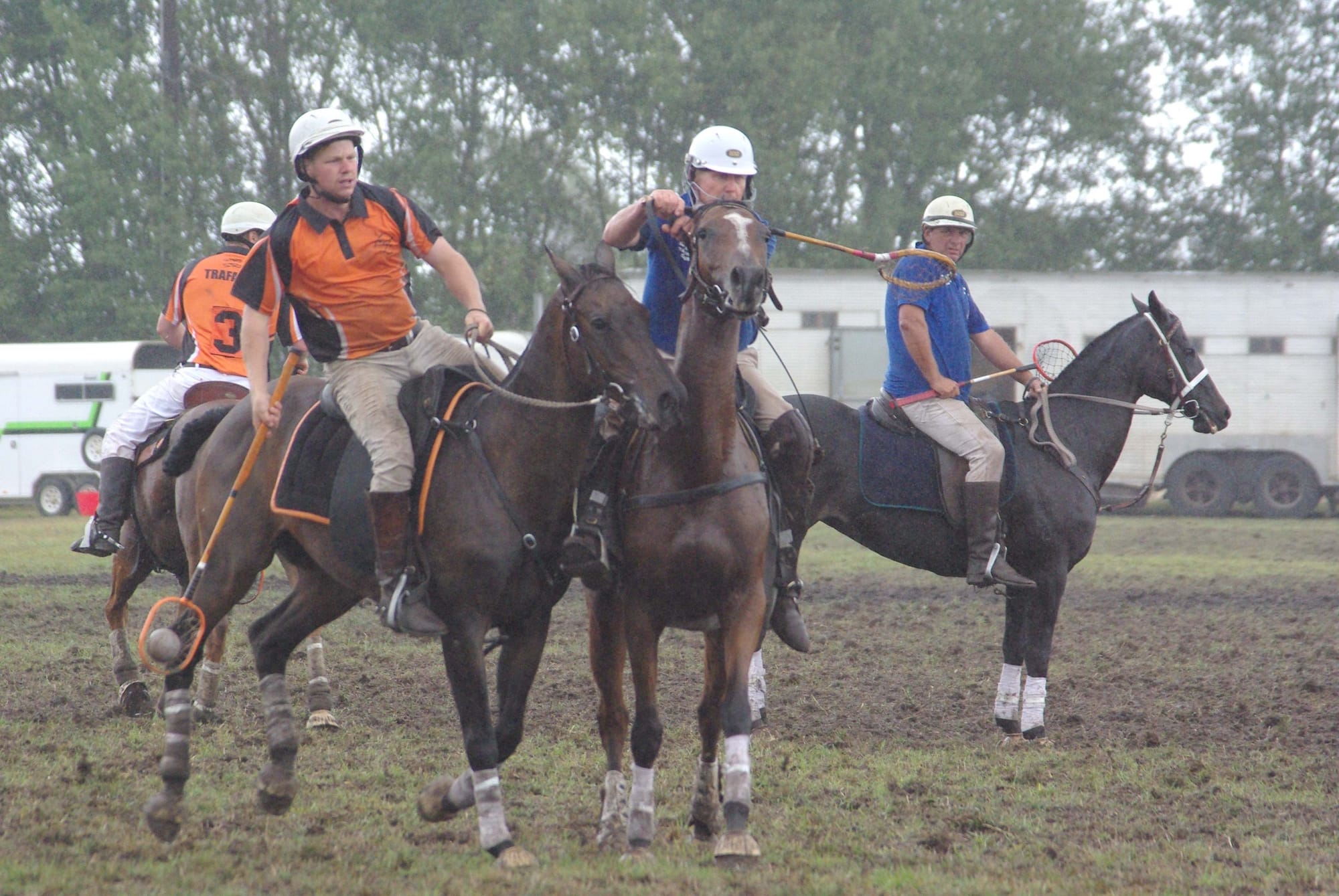 Traf Polox - 15.03.2022