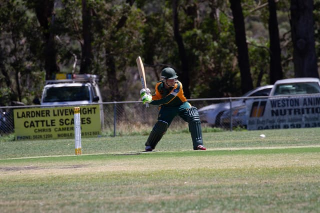 Cricket Div 1 Hallora Vs. Western Park 12.02.2022