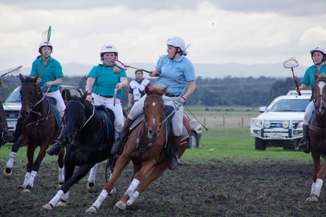 Trafalgar Polox - 2021 