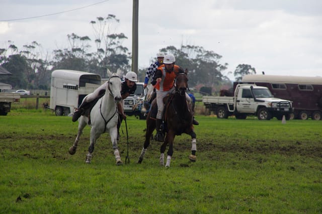 Trafalgar Polox - 2021 