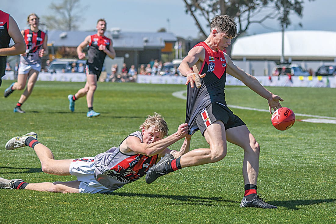 Gulls hard to get a read on