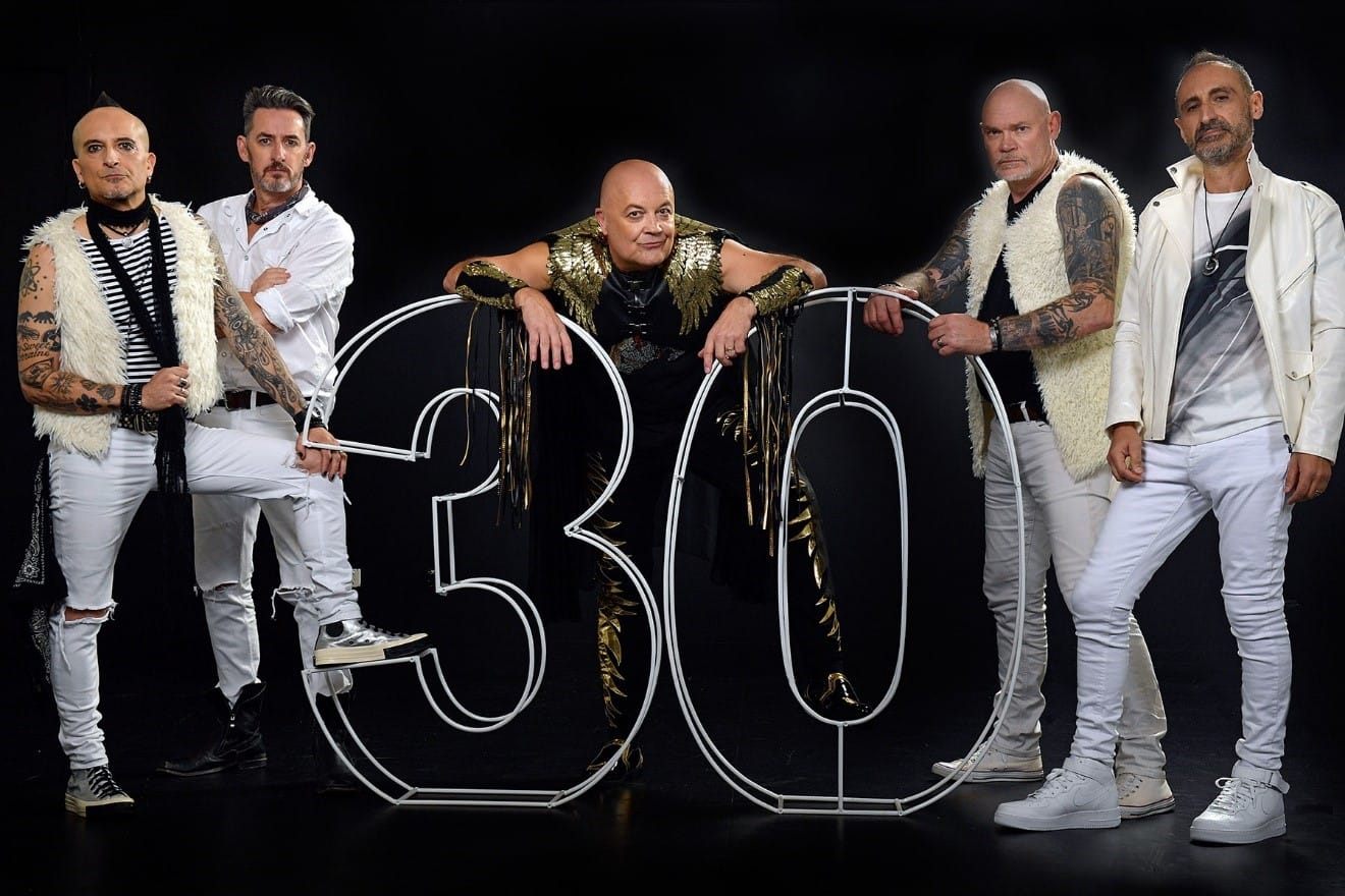 Rock with Chocolate Starfish in Warragul