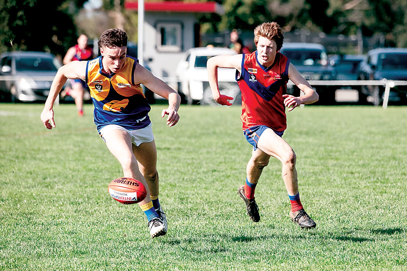Lyrebirds see off Eagles