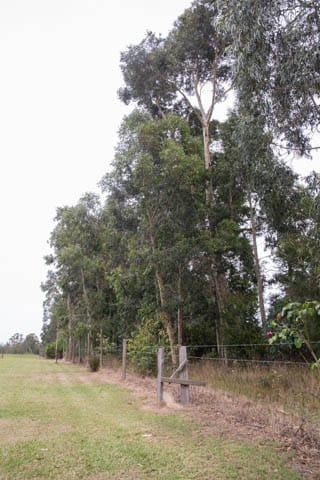 Golf Course Development - 04022021