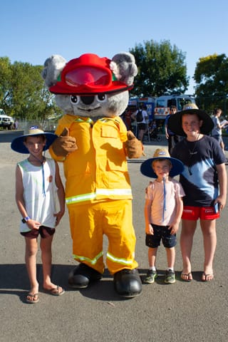 Ficifolia Festival - 19.02.2022