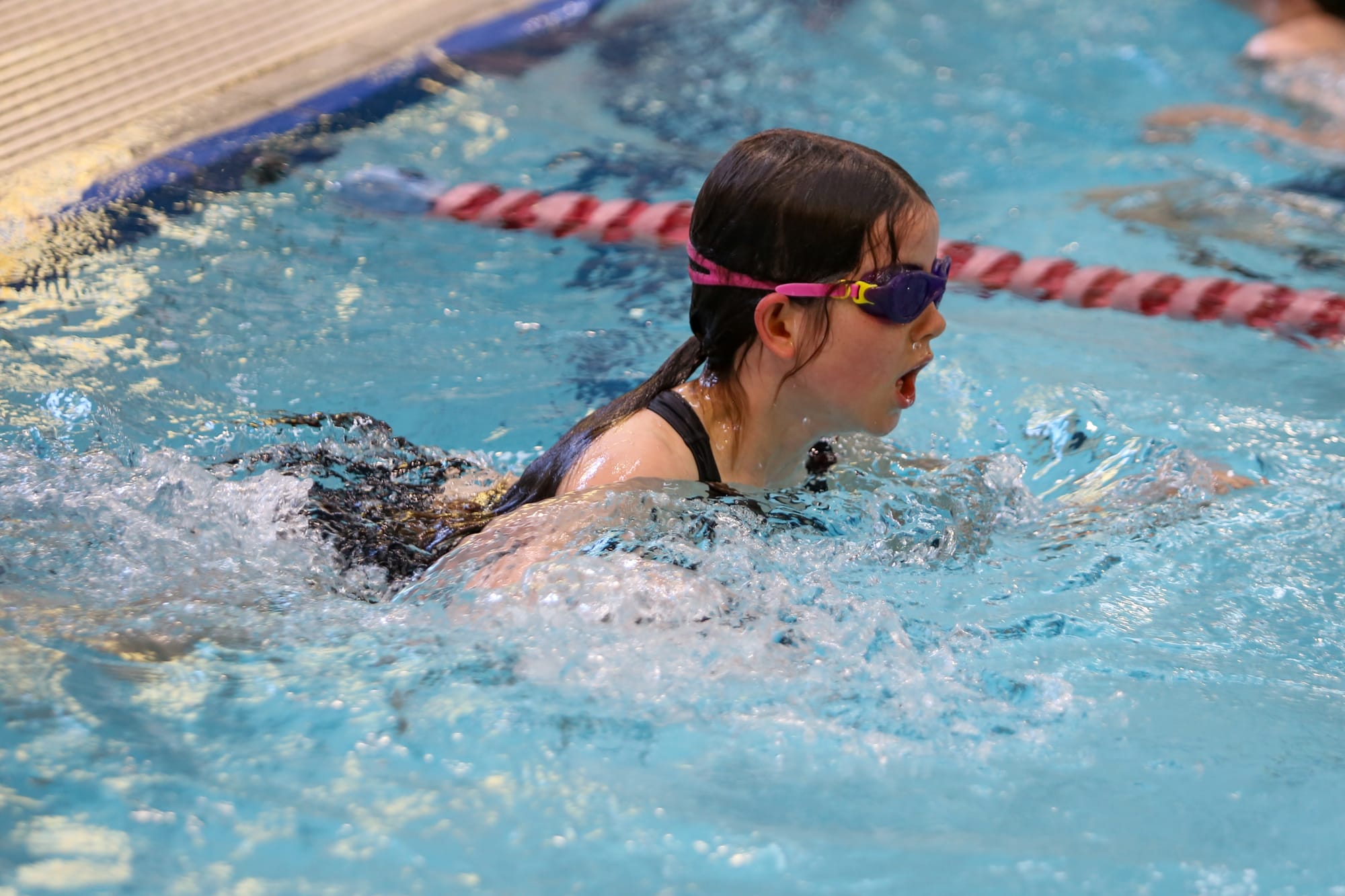 Wild Dog Triathlon - November 29, 2025