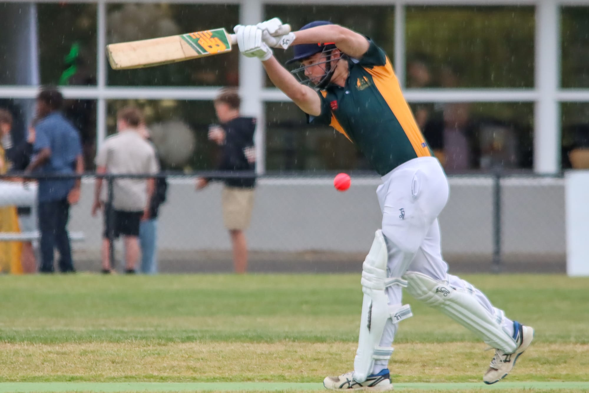 WDCA Cricket Under 17s Western Park vs Hallora - December 19, 2025