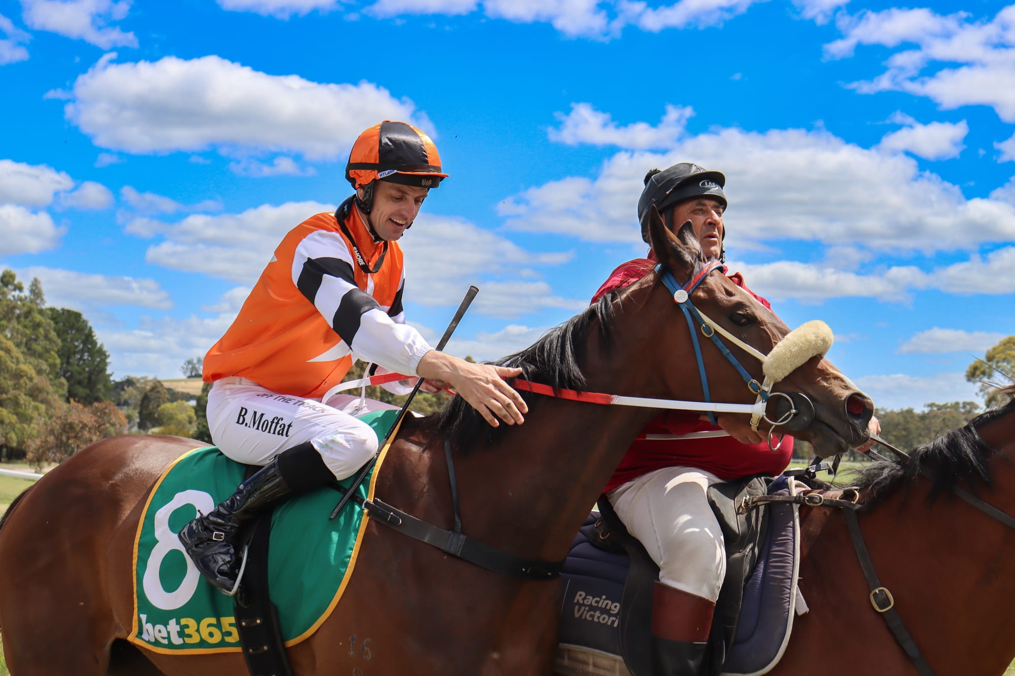 Perfect weather for Boxing Day races